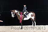 09yn-13613 thumbnail