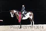 09yn-13614 thumbnail