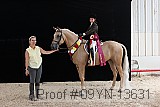 09yn-13631 thumbnail