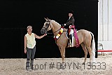 09yn-13633 thumbnail