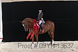 09yn-13637 thumbnail