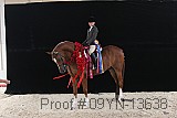 09yn-13638 thumbnail