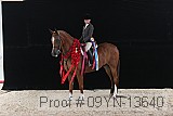 09yn-13640 thumbnail