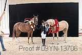 09yn-13706 thumbnail