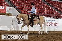 10buck_0061 thumbnail
