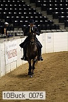 10buck_0075 thumbnail