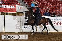 10buck_0111 thumbnail