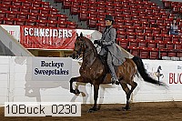 10buck_0230 thumbnail