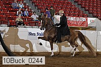 10buck_0244 thumbnail
