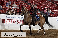 10buck_0567 thumbnail