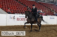 10buck_0675 thumbnail