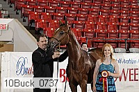 10buck_0737 thumbnail