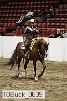 10buck_0839 thumbnail