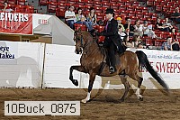 10buck_0875 thumbnail