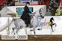 10buck_0889 thumbnail
