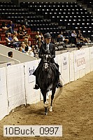 10buck_0997 thumbnail