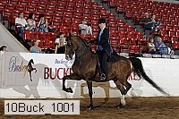10buck_1001 thumbnail