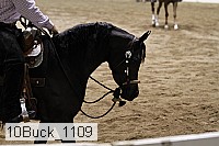 10buck_1109 thumbnail