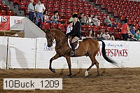 10buck_1209 thumbnail
