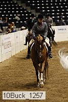 10buck_1257 thumbnail