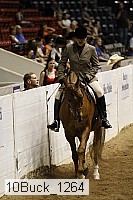 10buck_1264 thumbnail