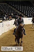 10buck_1266 thumbnail