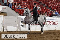 10buck_1333 thumbnail