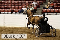 10buck_1387 thumbnail