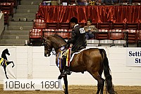 10buck_1690 thumbnail