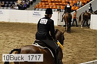 10buck_1717 thumbnail