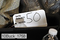 10buck_1758 thumbnail