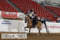 10buck_1883 thumbnail
