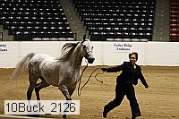 10buck_2126 thumbnail