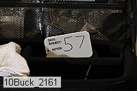 10buck_2161 thumbnail