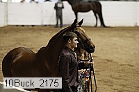 10buck_2175 thumbnail