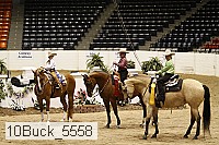 10buck_5558 thumbnail