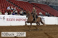 10buck_2297 thumbnail