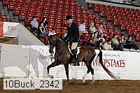 10buck_2342 thumbnail