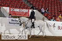 10buck_2513 thumbnail