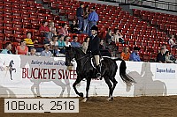 10buck_2516 thumbnail