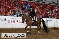 10buck_2525 thumbnail