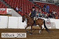 10buck_2528 thumbnail