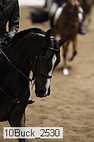 10buck_2530 thumbnail