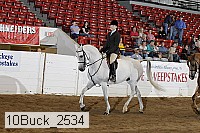 10buck_2534 thumbnail