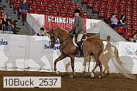 10buck_2537 thumbnail