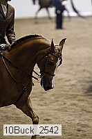 10buck_2542 thumbnail
