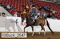10buck_2547 thumbnail