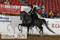 10buck_2675 thumbnail