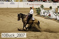 10buck_2807 thumbnail