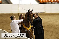 10buck_2821 thumbnail